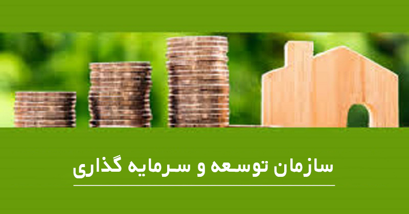 کمیته سرمایه گذاری