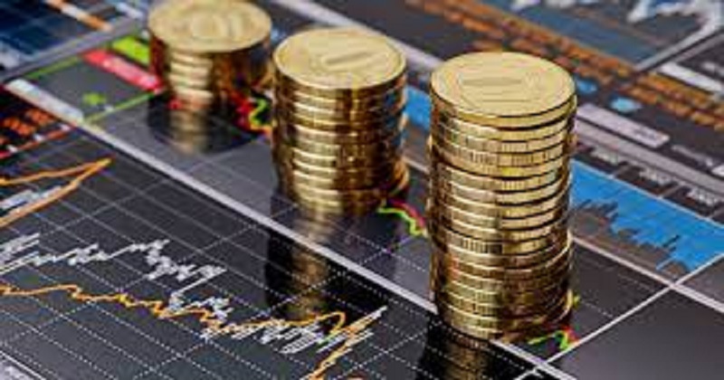 سازمان توسعه و سرمایه‌گذاری دانشگاه شهرکرد تشکیل شد